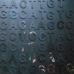 L'empreinte du  vivant